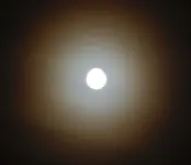 DSC_6879.webp