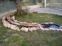 Bild 499.webp