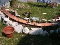 Bild 743.webp