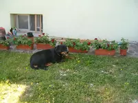 Bild 754.webp