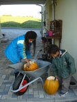 gutting pumpkins.jpg