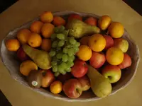 fruits.webp