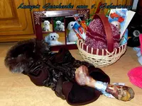 SDC12512.webp