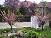 PIC00003.webp