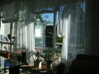 DSCF4290.webp