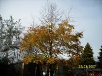 DSCI0113.webp