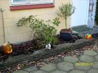DSCI0157.webp