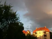 Neues aus dem Garten 040.webp