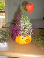 Neues aus dem Garten 017.webp