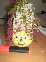 Neues aus dem Garten 021.webp