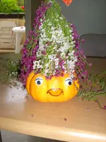Von Vorn.webp