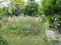 DSCI0048.webp