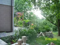 100_1886.webp