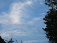 38117.webp