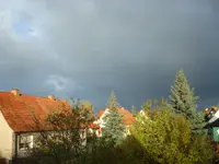 2010 10 26 037.webp