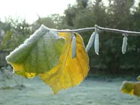 2010 10 27 009.webp