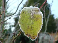 2010 10 27 017.webp