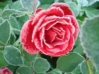 2010 10 27 019.webp