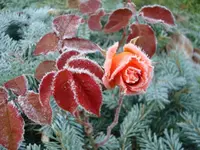 2010 10 27 021.webp