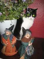IMG_3176.webp