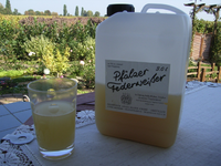 NeuerWein.webp