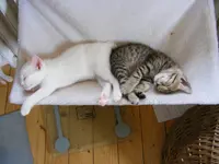 DSCF5276.webp