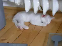 DSCF5280.webp
