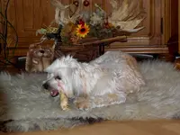 SDC12518.webp