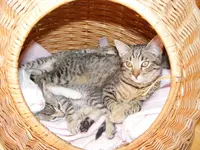 DSCF5269.webp