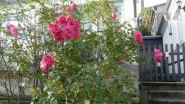 K640_herbstbilder 019.webp