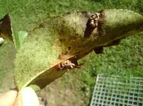 DSC01850.webp