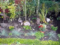 SDC12459.webp SDC12459.webp