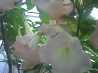 PICT0216.webp