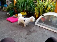 SDC12539.webp