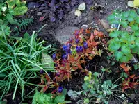 SDC12548.webp