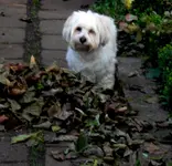 SDC12564.webp