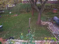 100_2672.webp