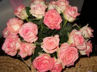 DSCN0306.webp