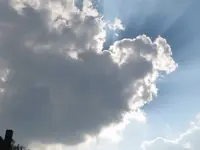 38378.webp