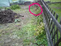 DSC01854.webp