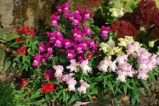 DSC_0002.webp