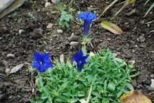 DSC_0003.webp