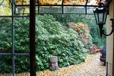 IMG_2534 - Kopie.webp