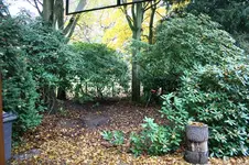 IMG_2564 - Kopie.webp
