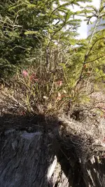 1.11.2010 015.webp