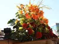 Lilien.webp