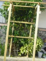 CIMG0623.webp