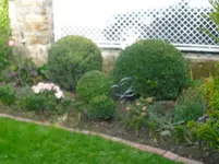 CIMG0632.webp