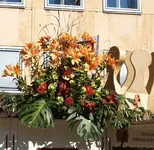 Weingarten.webp