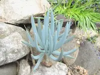 Oktober 10 475v.webp